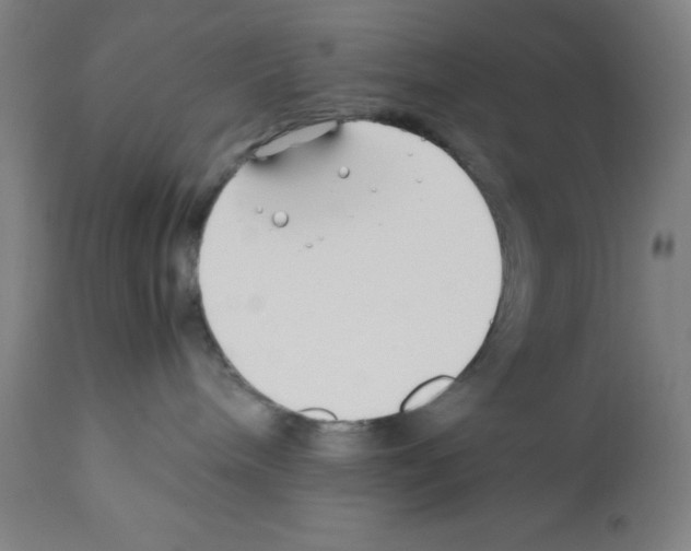 X0000112370240200909241157