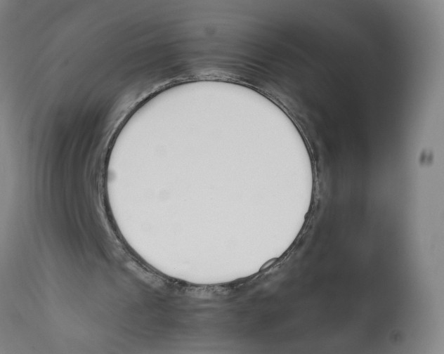 X0000112370241200909241156
