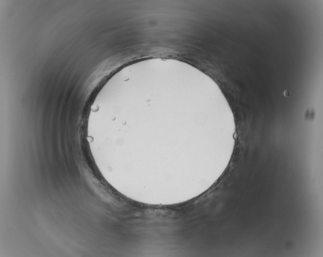 X0000112370242200909241156