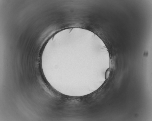 X0000112370243200909241156