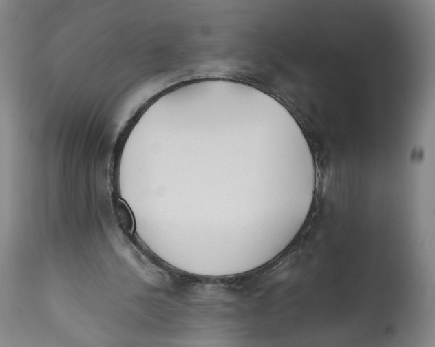 X0000112370244200909241156