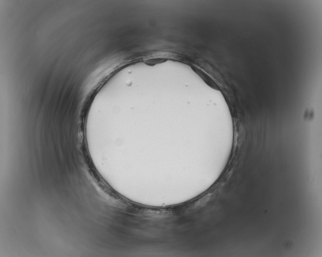 X0000112370245200909241156
