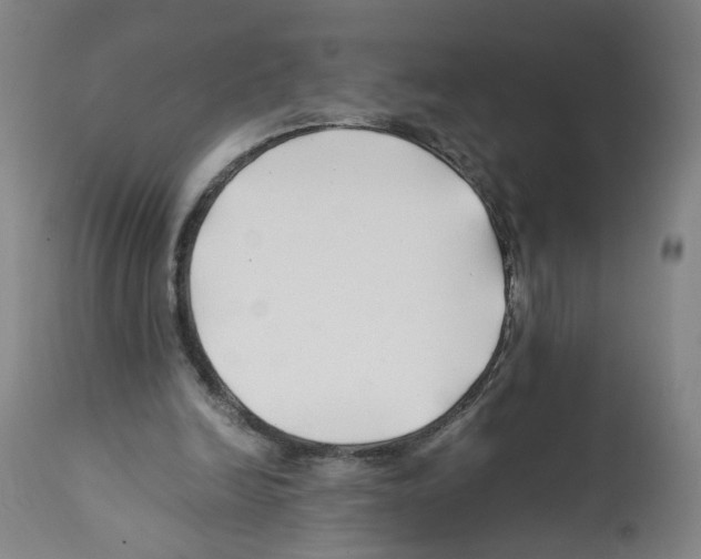 X0000112370246200909241156
