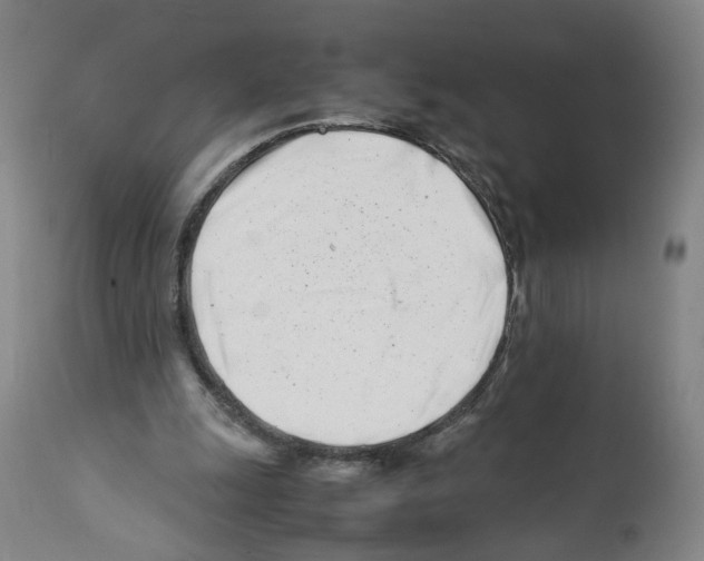 X0000112370247200909241156