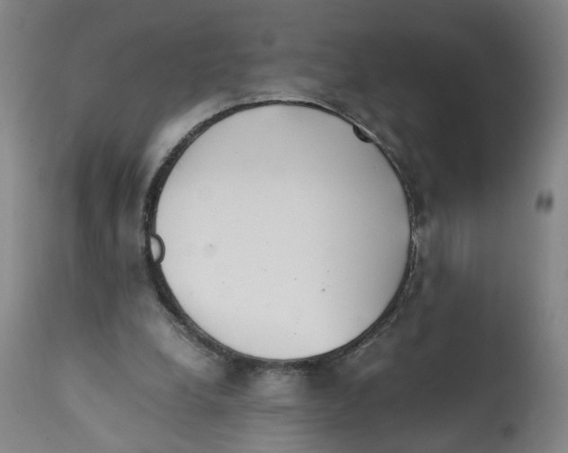 X0000112370248200909241156