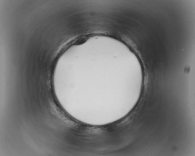 X0000112370249200909241156