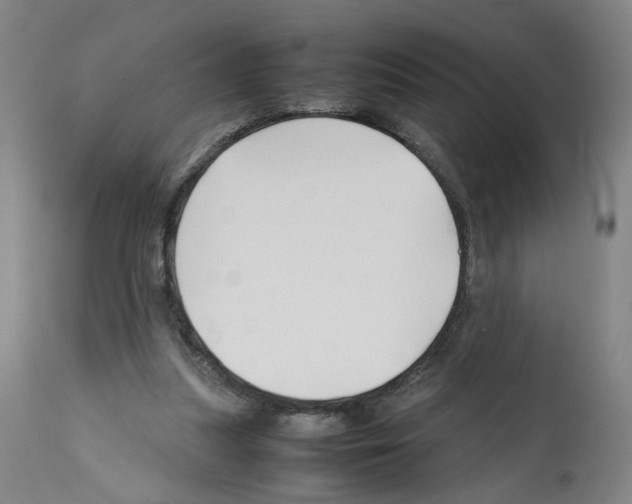 X0000112370251200909241156