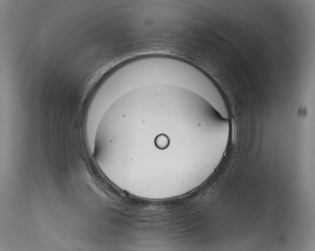 X0000112370252200909241156