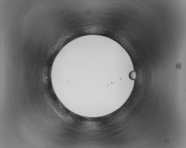 X0000112370255200909241156