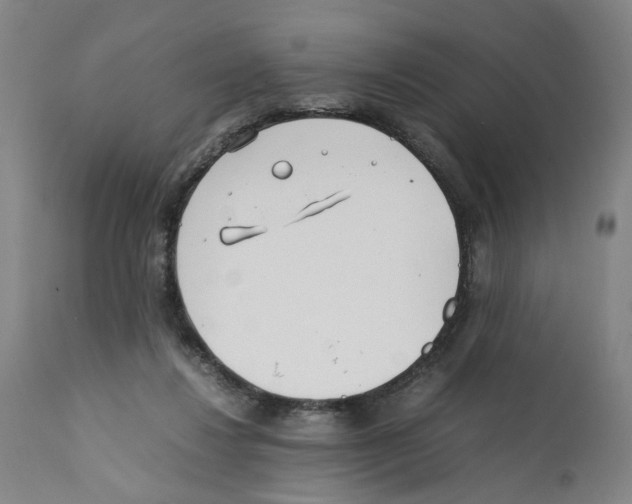 X0000112370260200909241156