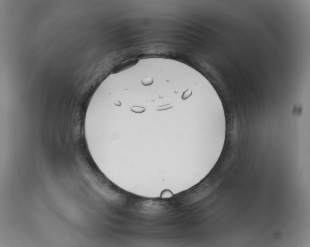 X0000112370261200909241156