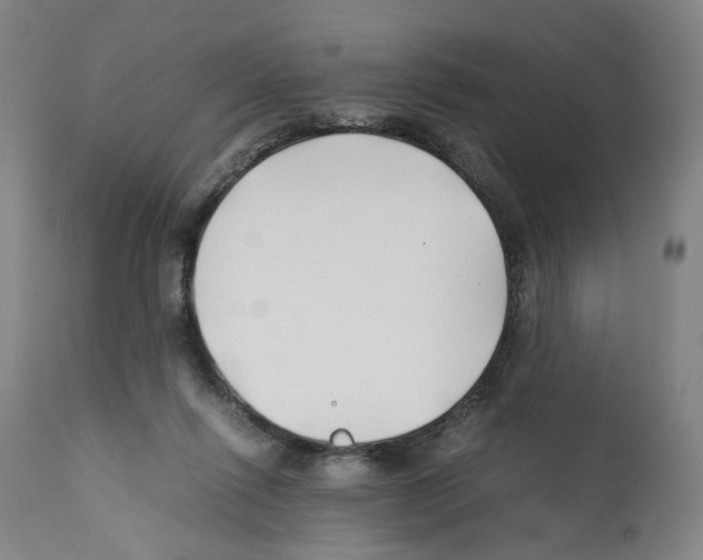 X0000112370262200909241156