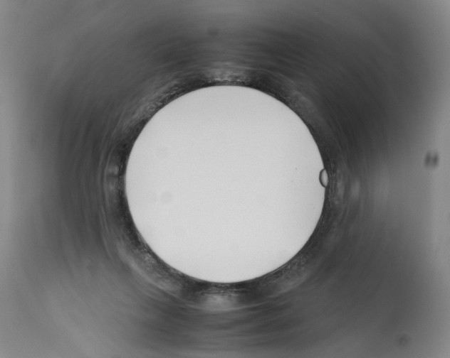 X0000112370263200909241156