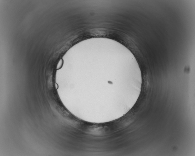 X0000112370267200909241157