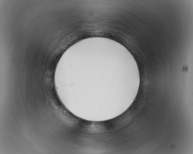 X0000112370270200909241157