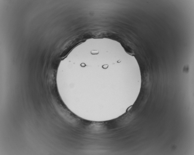 X0000112370280200909241157