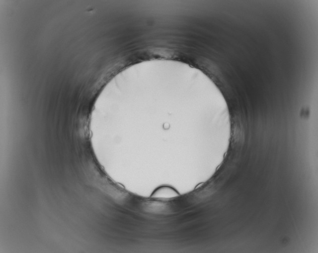X0000112370285200909241157