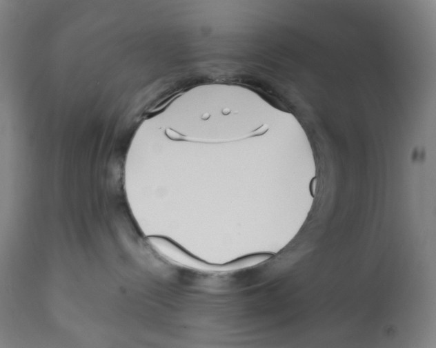 X0000112370288200909241157