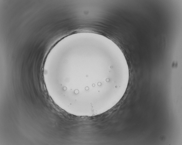 X0000112370289200909241156