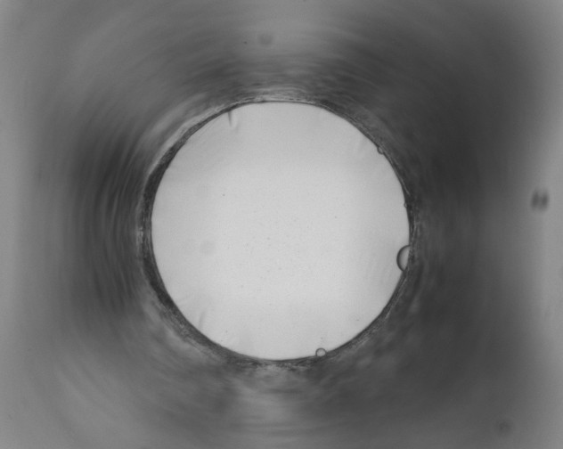 X0000112370290200909241156