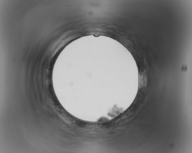 X0000112370291200909241156