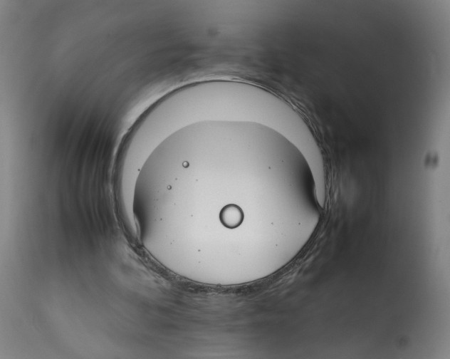 X0000112370292200909241156