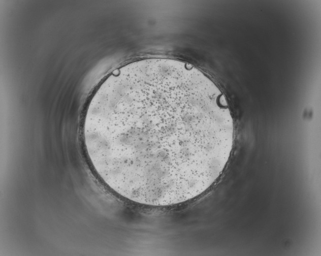 X0000112370293200909241156