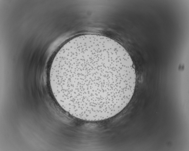 X0000112370294200909241156