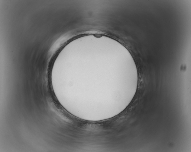 X0000112370296200909241156