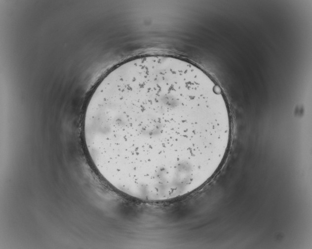 X0000112370297200909241156