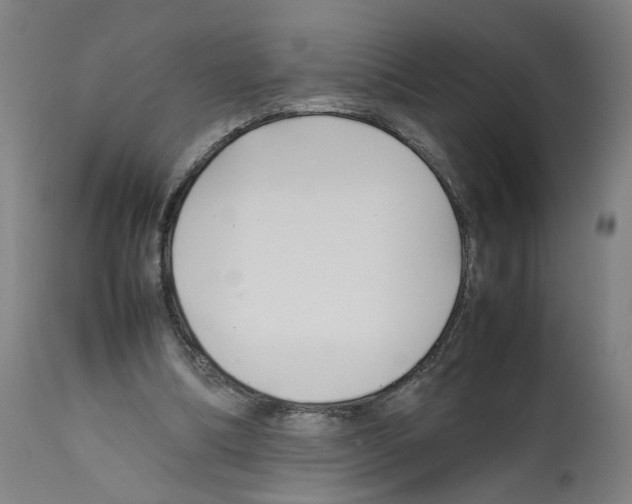 X0000112370298200909241156