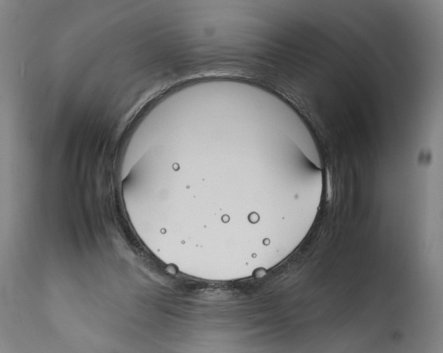 X0000112370300200909241156