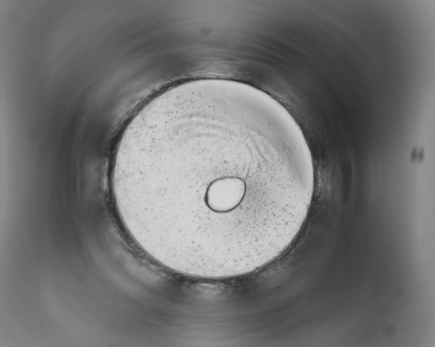 X0000112370302200909241156