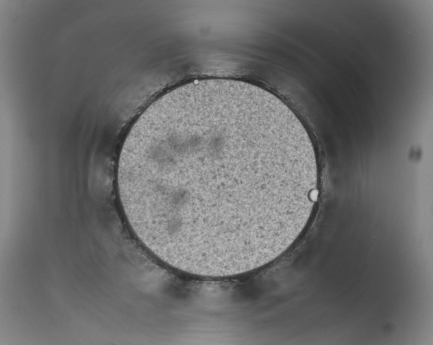 X0000112370305200909241156