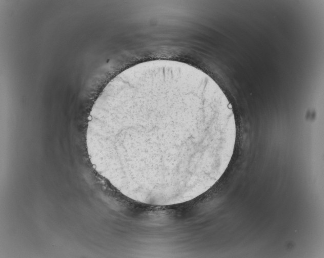X0000112370307200909241156