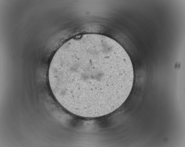 X0000112370309200909241156