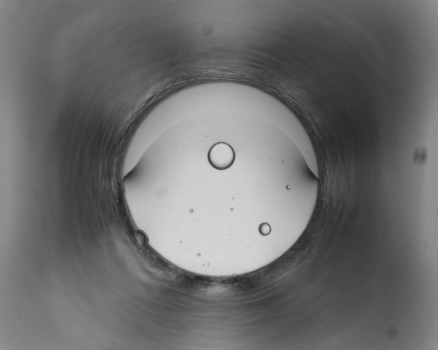 X0000112370312200909241156