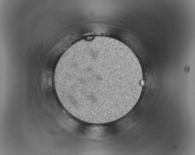 X0000112370313200909241156