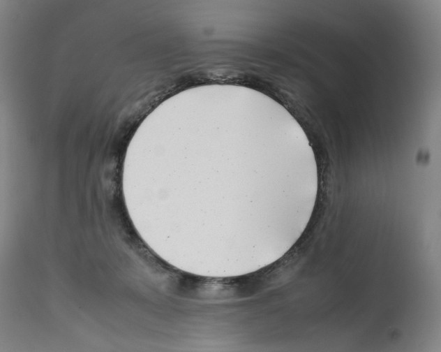 X0000112370319200909241156