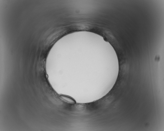 X0000112370325200909241155