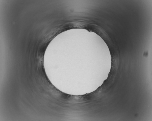 X0000112370329200909241155