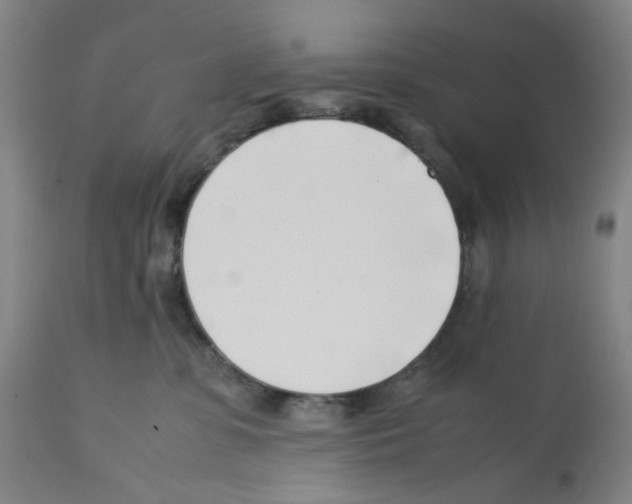 X0000112370331200909241155