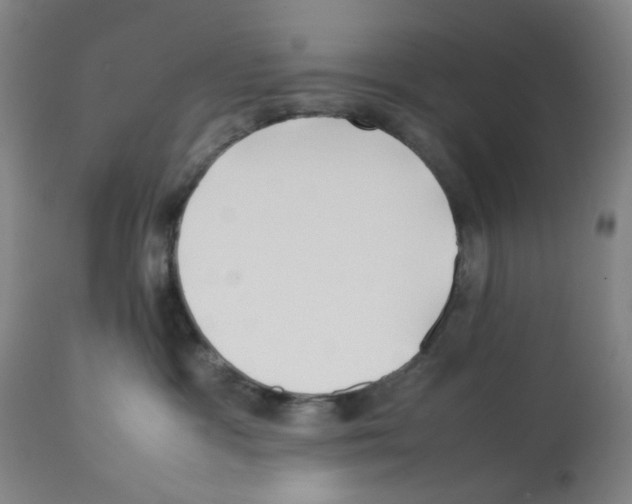 X0000112370333200909241155