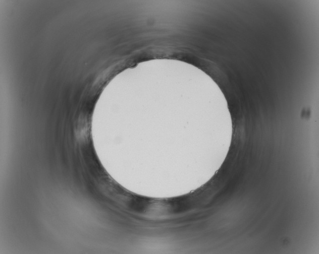 X0000112370335200909241155