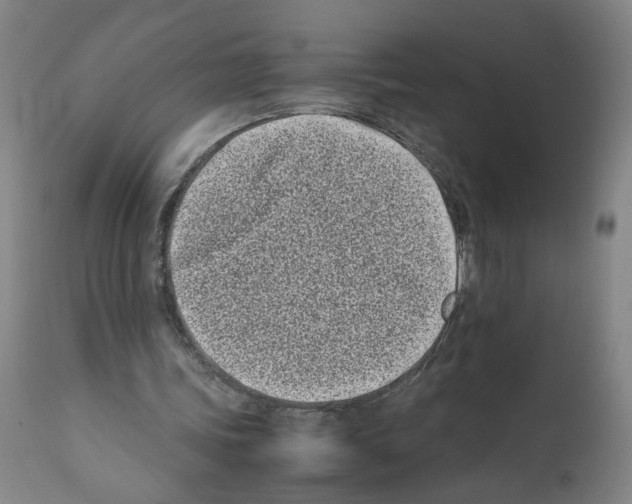 X0000112370339200909241155