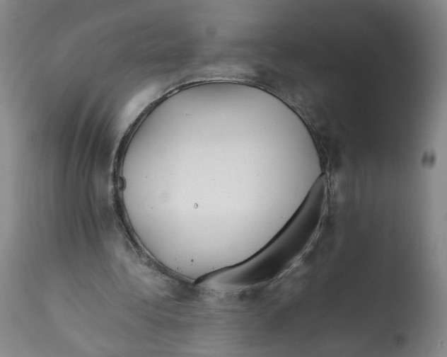 X0000112370340200909241155