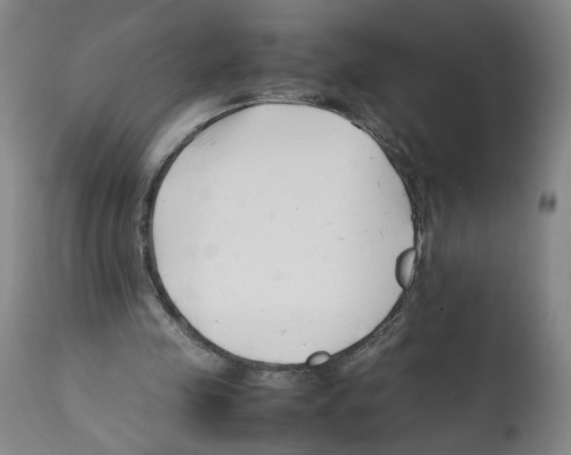 X0000112370341200909241155