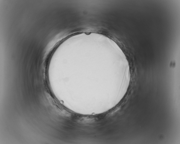 X0000112370343200909241155