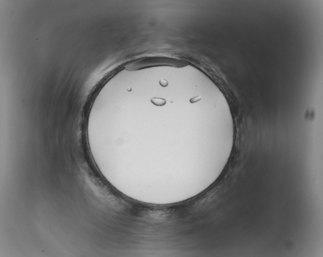 X0000112370344200909241155