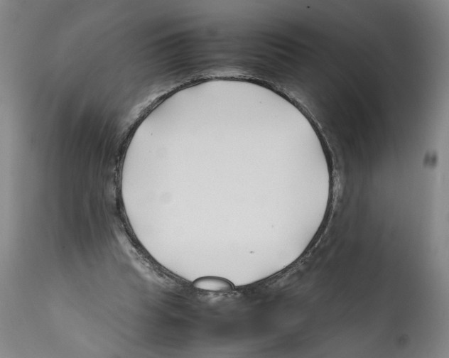 X0000112370345200909241155